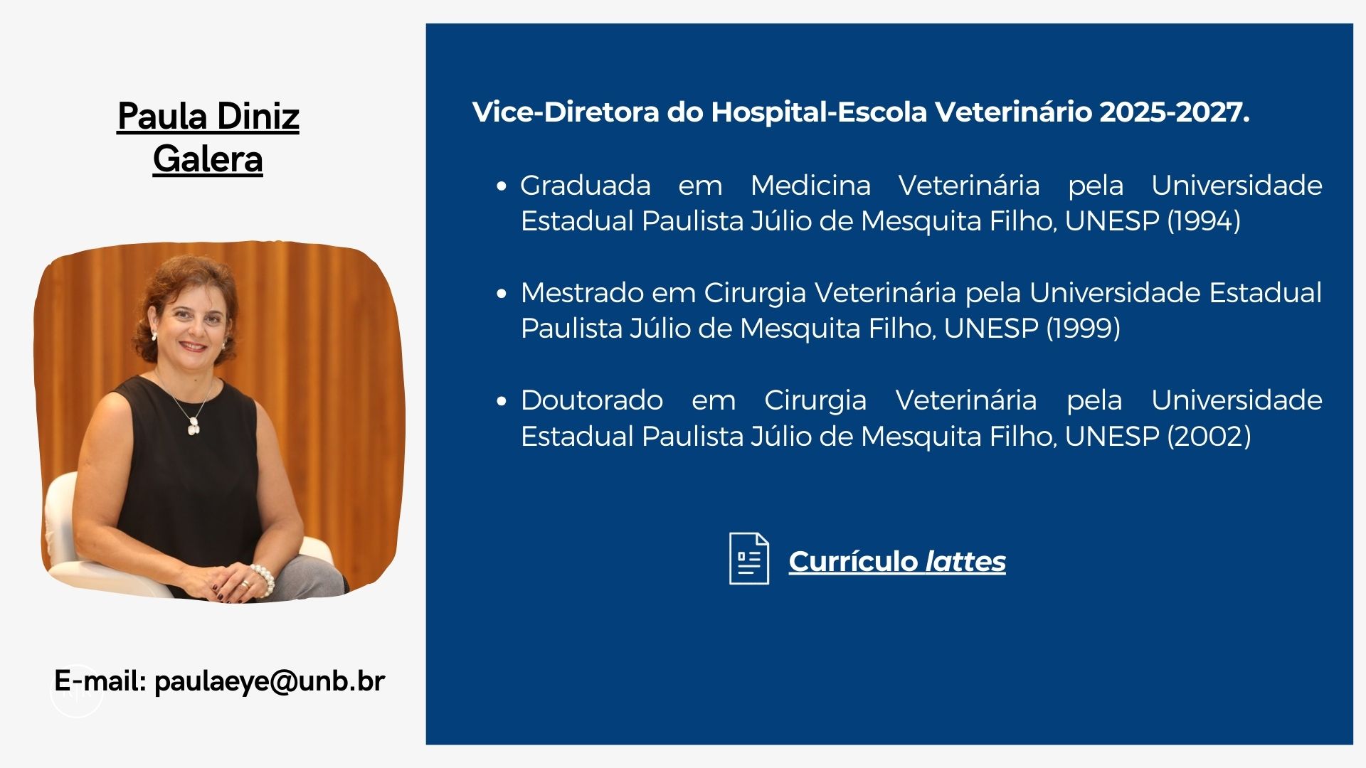 Perfil Prof Paula