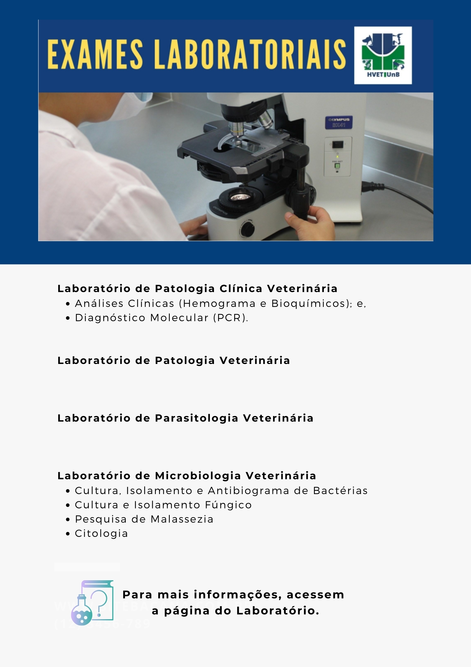 Exames Laboratoriais 1